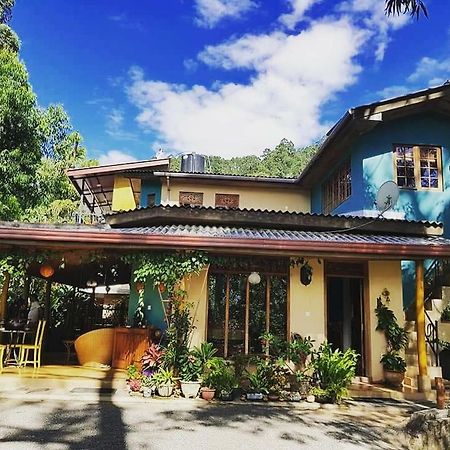Waterfalls Homestay Ella Extérieur photo