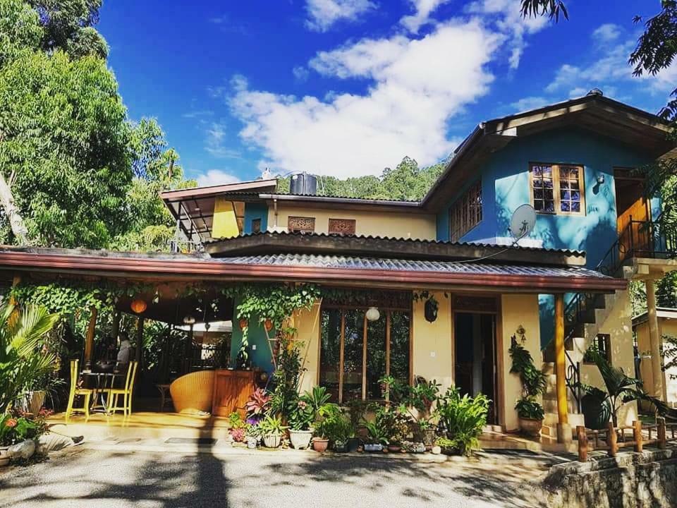 Waterfalls Homestay Ella Extérieur photo