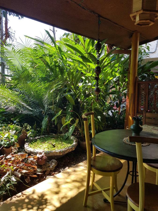 Waterfalls Homestay Ella Extérieur photo